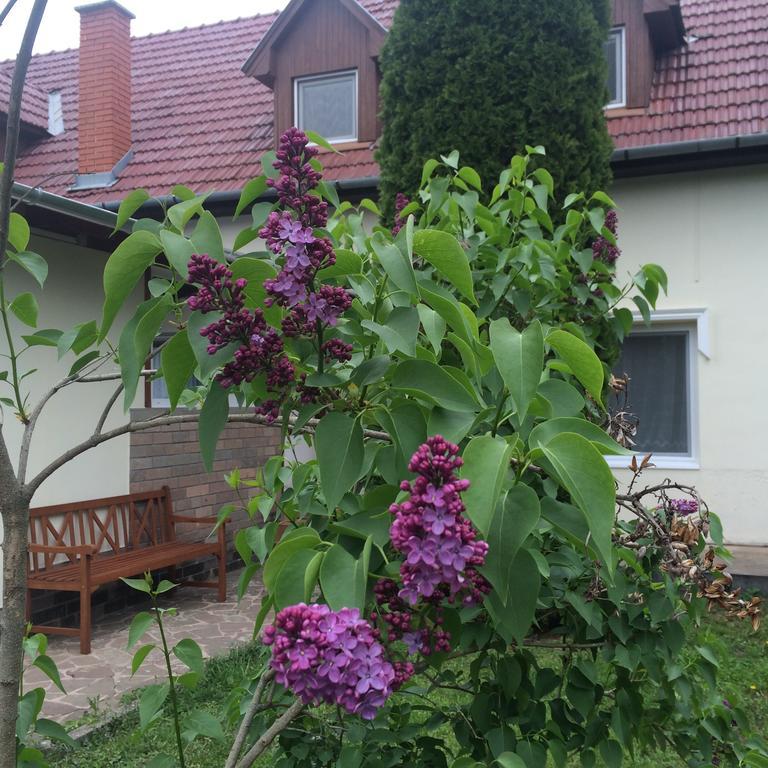 Apartament Harmónia Panzió Bogács Zewnętrze zdjęcie